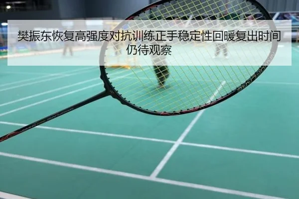 樊振东恢复高强度对抗训练正手稳定性回暖复出时间仍待观察