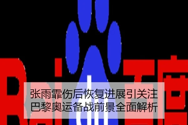 张雨霏伤后恢复进展引关注 巴黎奥运备战前景全面解析